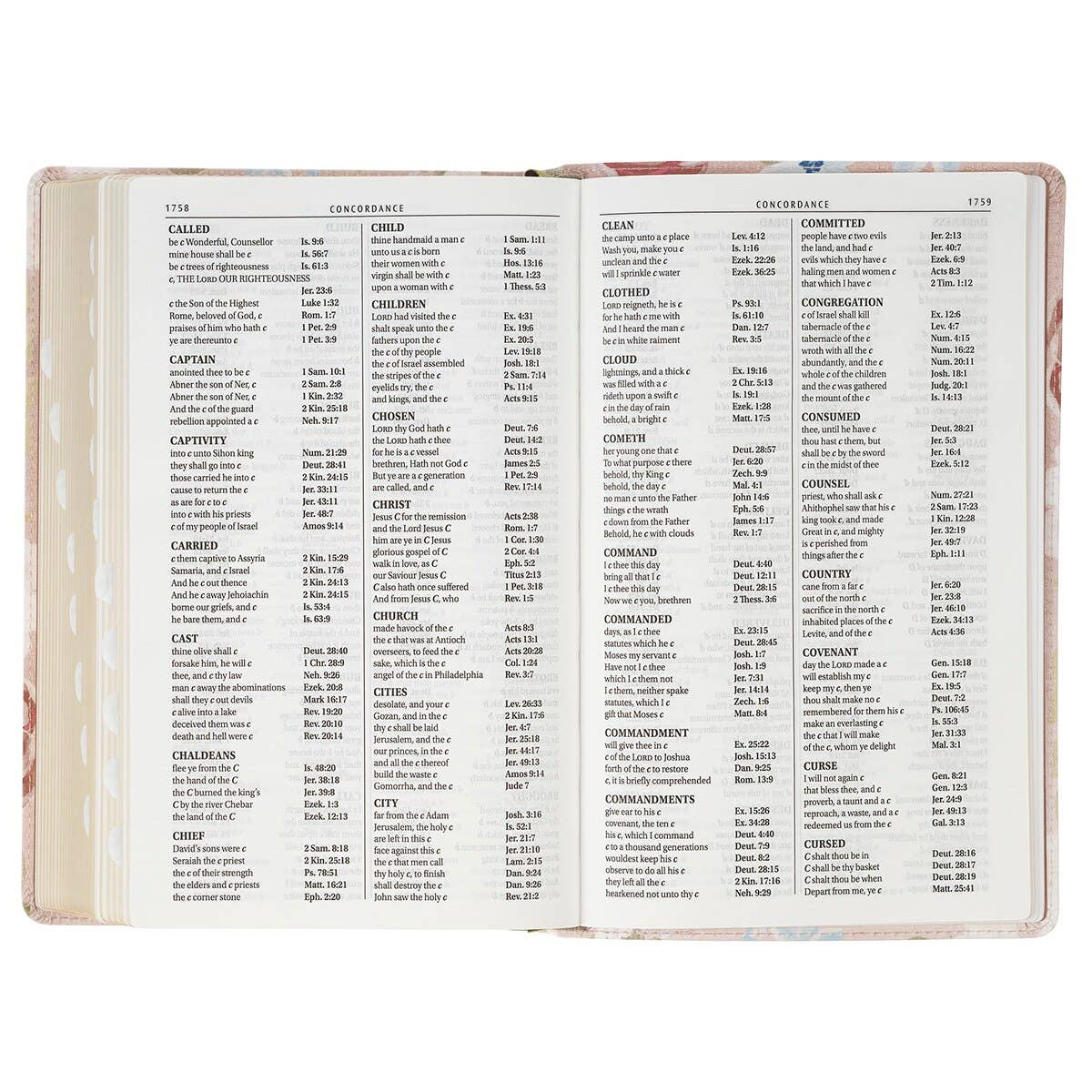 KJV Bible Giant Print Standard