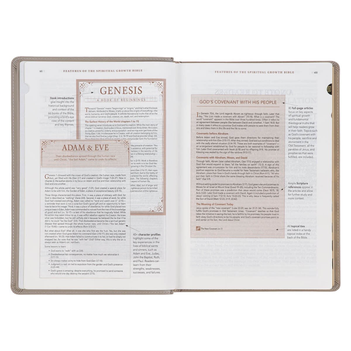 Embroidered Bible NLT