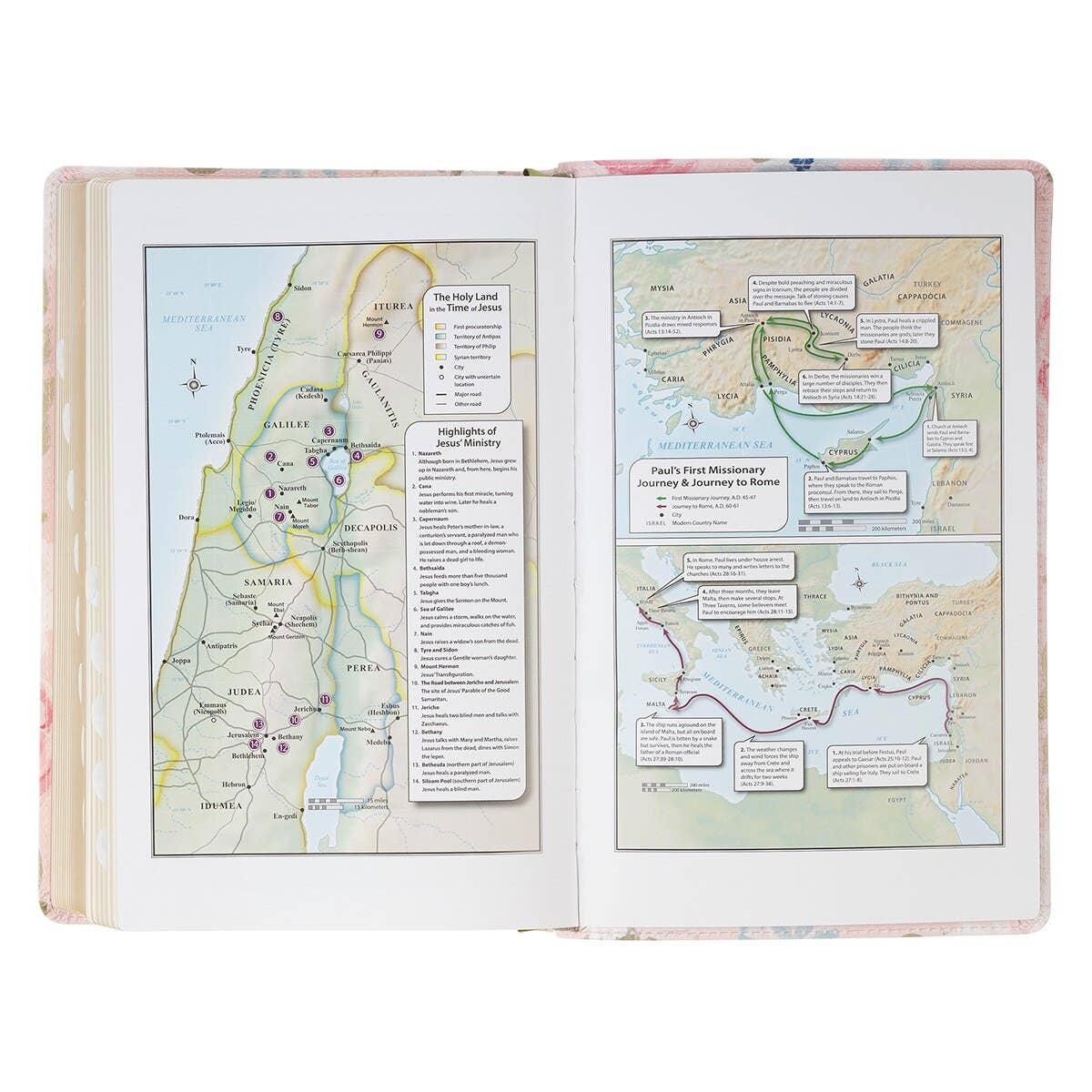 KJV Bible Giant Print Standard