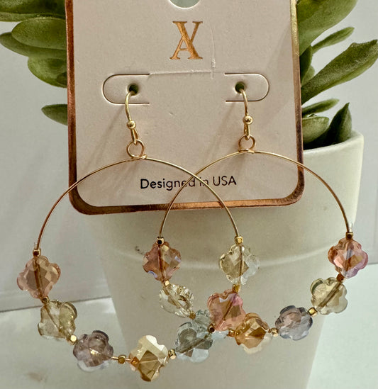 Multi Crystal Shine Earrings