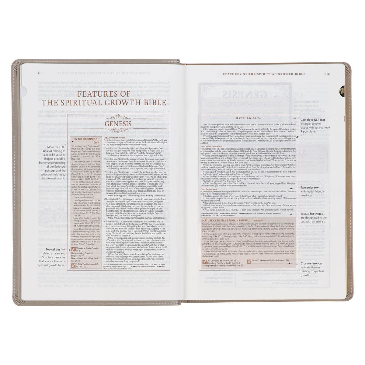 Embroidered Bible NLT