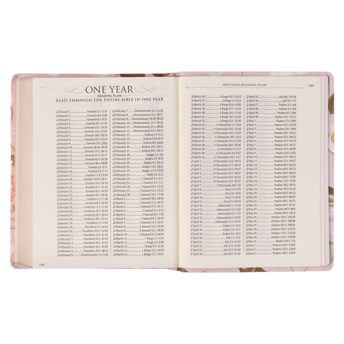 Peach Floral KJV Note-taking Bible