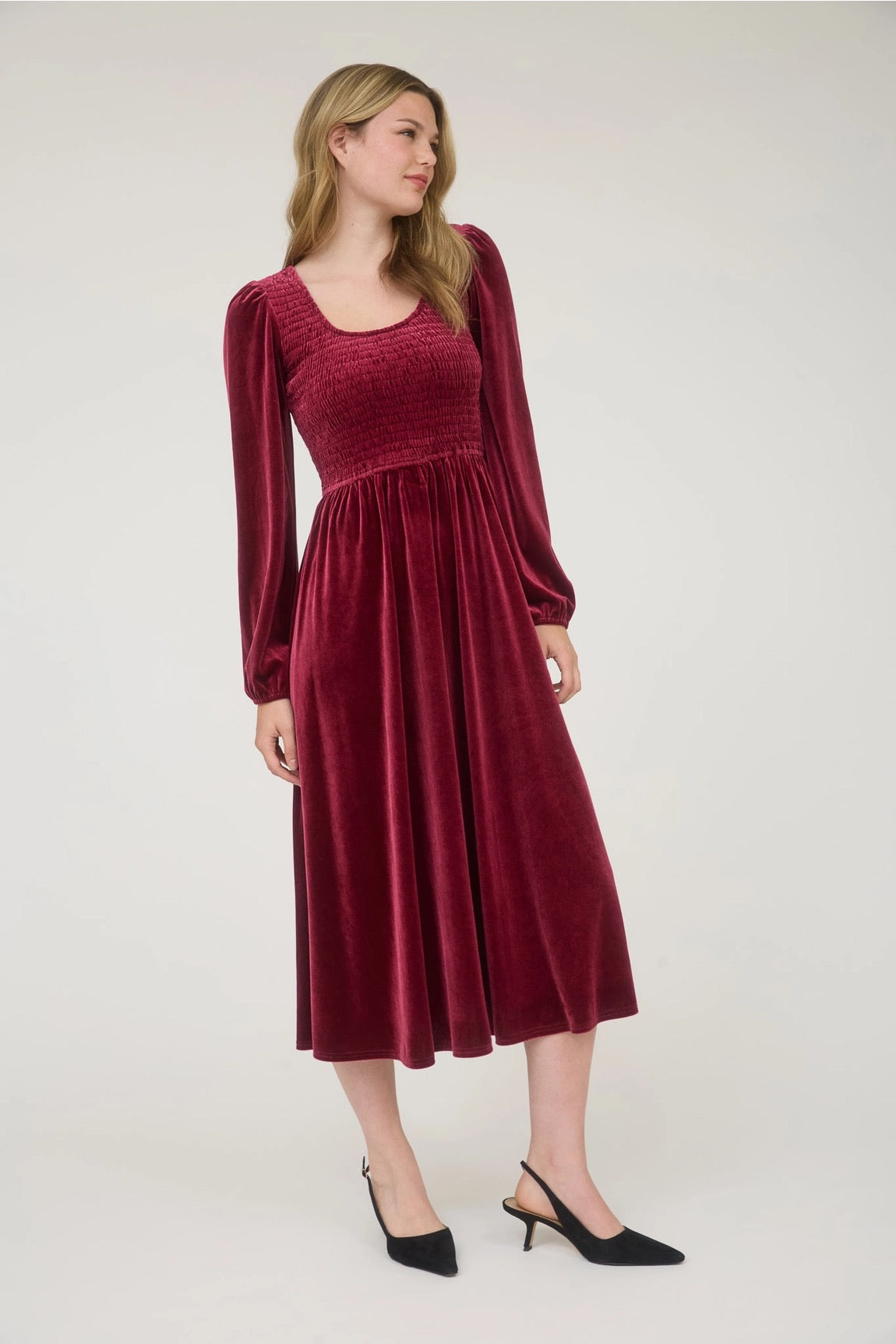 Velvety Holiday Dress
